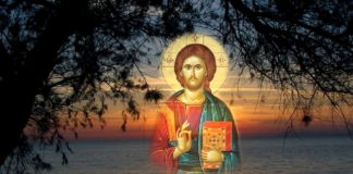 Τα γιατί της ζωής… Τα γιατί της ζωής