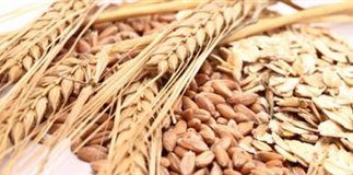 Ωφέλιμη η κατανάλωση δημητριακών ολικής άλεσης. Δημητριακά