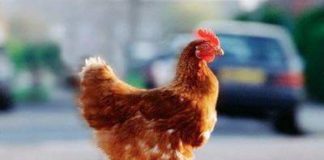 Το θαύμα για τη σωτηρία των τραπεζών λέγεται εκκλησιαστική περιουσία. Το θαύμα για τη σωτηρία των τραπεζών λέγεται εκκλησιαστική περιουσία