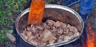 Έθιμα των Χριστουγέννων και της Πρωτοχρονιάς στο νομό Λάρισας. Έθιμα των Χριστουγέννων και της Πρωτοχρονιάς στο νομό Λάρισας