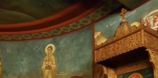 Εορτή Αγίου Τρύφωνος Κολυμπίων Ρόδου. Έτος 2018 (Φωτογραφικά Στιγμιότυπα)