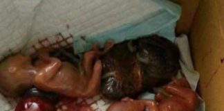 Γέροντας Εφραίμ Φιλοθεΐτης – Αριζόνας – Εκτρώσεις, το τελειωτικό χτύπημα Γέροντας Εφραίμ Φιλοθεΐτης - Αριζόνας - Εκτρώσεις, το τελειωτικό χτύπημα