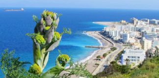 Πρόγνωση Καιρού – Τρίτης 8 Μαρτίου 2019, στην Ρόδο και τα Δωδεκάνησα Πρόγνωση Καιρού – Τρίτης 8 Μαρτίου 2019, στην Ρόδο και τα Δωδεκάνησα