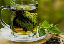 Τσάι μαϊντανού – Καθαρίζει σχεδόν άμεσα τα νεφρά σας – Πώς να το φτιάξετε Τσάι μαϊντανού - Καθαρίζει σχεδόν άμεσα τα νεφρά σας – Πώς να το φτιάξετε