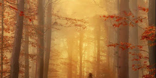 Η «ευλογημένη απογοήτευση»… Η «ευλογημένη απογοήτευση»…