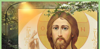 Η ανευλόγητη κατσίκα… Η ανευλόγητη κατσίκα...