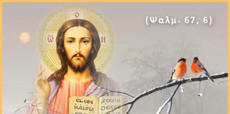 Πως να διαχειριστείς χριστιανικά το πένθος του/της συζύγου σου; Πως να διαχειριστείς χριστιανικά το πένθος του/της συζύγου σου;