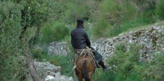 Η αδικία στη ζωή των ανθρώπων Όποιος είναι αληθινά ταπεινός δεν έχει κανένα φόβο. Αυτός που αγαπά το Θεό και το συνάνθρωπο και όταν είναι μόνος δεν είναι μόνος. Ο ταπεινός έχει ασφάλεια, αφοβία, χαρά, ειρήνη, μακροθυμία, πραότητα, αγαθοσύνη, εγκράτεια, ελευθερία, χάρη. Ένας γνήσιος χριστιανός που αγαπά, προσφέρεται, θυσιάζεται, ζει για τους άλλους, δεν μπορεί να μην είναι ταπεινός. Ο αληθινά ταπεινός χαίρεται περισσότερο να δίνει παρά να παίρνει. Δεν έχει απαιτήσεις από τους άλλους. Τους υπομένει, τους αποδέχεται, τους καλοδέχεται, προσεύχεται γι’ αυτούς. Έτσι δεν στενοχωρείται. Στενοχωρούμεθα με τους άλλους γιατί έχουμε πολλές απαιτήσεις από αυτούς. Είμαστε αρκετά αυστηροί μαζί τους, ενώ με τον εαυτό μας είμαστε αρκετά επιεικείς. Θέλουμε μόνο να μας προσέχουν, να μας ακούν, να μας αγαπούν. Είμαστε φειδωλοί στην προσοχή, στην ακοή, στην αγάπη απέναντι των άλλων. Αποζητάμε την εκτίμηση, τον έπαινο, το πλήρες ενδιαφέρον των άλλων. Εμείς όμως είμαστε τσιγγούνηδες σε προσφορά. Στεναχωριούνται εύκολα οι άνθρωποι, αποθαρρύνονται, απογοητεύονται, θλίβονται και μελαγχολούν, γιατί η πίστη τους δεν είναι θερμή, η εμπιστοσύνη τους στο Θεό είναι χαλαρή κι η ελπίδα τους απομακρυσμένη. Ο πιστός έχει πληροφορία βεβαιότητος, ενισχύσεως, εμπιστοσύνης και ελπίδος. Δεν σημαίνει ότι δεν έχει προβλήματα, αλλά τα προβλήματα τα αντιμετωπίζει ελπιδοφόρα. Η ελπίδα στον Παντοδύναμο και πανταχού παρόντα Θεό χαρίζει στον πιστό ειρήνη, γαλήνη, ηρεμία, παρηγορία, έλεος. Γέροντες και γερόντισσες παλαιότερων εποχών με μεγαλύτερα και περισσότερα προβλήματα οπωσδήποτε, έκαναν με νόημα το σταυρό τους, καρτερούσαν φιλότιμα, υπόμεναν επίμονα και το «πρώτα ο Θεός» ή «έχει ο Θεός» ή «δόξα τω Θεώ» δεν ήταν διόλου σχήμα λόγου. Οι σημερινοί φουσκωμένοι από έπαρση άνθρωποι θεωρούν μεγάλη ντροπή να σταυροκοπηθούν ή να επικαλεσθούν το Θεό και πιστεύουν πως η ευφυΐα τους, η πολυγνωσία τους, η πολυπραγμοσύνη τους θα λύσει όλα τους τα προβλήματα. Να που όμως δεν τα λύνουν και είναι γεμάτες οι τσέπες τους αγχολυτικά, αναλγητικά, καταπραϋντικά, αντικαταθλιπτικά και υπνωτικά. Όσοι δε πίστεψαν στη θεοποιημένη λογική τους και στο υπερφίαλο εγώ τους πλανέθηκαν από μία επικίνδυνη αυτάρκεια, ένα μοντέρνο χριστιανισμό μιας φαρισαϊκής αγιότητος κι έγιναν παίγνια δαιμόνων. Η αγιότητα δεν είναι ποτέ αταπείνωτη, υποκριτική, εγωκεντρική, αφιλάδελφη και απομονωμένη. Οι άγιοι δεν πιστεύουν στον εαυτό τους και στα έργα τους αλλά ελπίζουν και επικαλούνται συνεχώς το άπειρο έλεος του Πανάγαθου Θεού. Οι άγιοι παρακινούν κι εμάς τους αμαρτωλούς να συγκινηθούμε και να συνετισθούμε από τα παραδείγματα των μεγάλων αμαρτωλών που μετανόησαν και έγιναν άγιοι… Μοναχού Μωυσέως Αγιορείτου