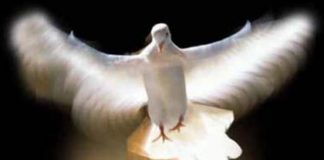 Αληθινά θεοπρόβλητος ! Όταν διαλέγει ο Θεός… Αληθινά θεοπρόβλητος! Όταν διαλέγει ο Θεός…