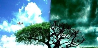 Πως είναι ο Παράδεισος και η κόλαση – Γέρων Παΐσιος Αγιορείτης Πως είναι ο Παράδεισος και η κόλαση – Γέρων Παΐσιος Αγιορείτης