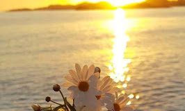 Το μήνυμα της ημέρας