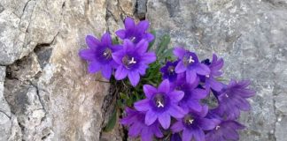 Κύπρος : Στον Ιερό Ναό Αγίου Γεωργίου του χωριού Αρεδιού κηδεύτηκαν τα δυο θύματα του serial killer Κύπρος : Στον Ιερό Ναό Αγίου Γεωργίου του χωριό Αρεδιού κηδεύτηκαν τα δυο θύματα του serial killer