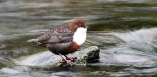 Ξυπνήστε, σηκωθείτε πλυθείτε και μιλήστε με το Θεό, πείτε Του τα πάντα Ξυπνήστε, σηκωθείτε πλυθείτε και μιλήστε με το Θεό, πείτε Του τα πάντα