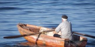 Ο καθηγητής και ο βαρκάρης Ο καθηγητής και ο βαρκάρης