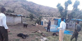 Οι Τούρκοι σκοτώνουν ακόμη και ζώα στο βόρειο Ιράκ Οι Τούρκοι σκοτώνουν ακόμη και ζώα στο βόρειο Ιράκ