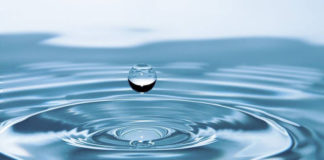 Ο μέσος άνθρωπος τρώει έως 121.000 μικροπλαστικά σωματίδια τον χρόνο Ο μέσος άνθρωπος τρώει έως 121.000 μικροπλαστικά σωματίδια τον χρόνο