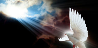 Η Αγία Τριάς πρότυπο ενότητος. Αδύνατο είναι να χωρέσει το μυστήριο της Αγίας Τριάδος μέσα στο μικρό μυαλό του ανθρώπου. Η Αγία Τριάς πρότυπο ενότητος. Αδύνατο είναι να χωρέσει το μυστήριο της Αγίας Τριάδος μέσα στο μικρό μυαλό του ανθρώπου.