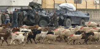 Αναληθές πως Κούρδοι μαχητές απελευθέρωσαν χιλιάδες πρόβατα από «πορνείο ζώων» του ISIS Κτηνοβασία στην Συρία : Κούρδοι μαχητές απελευθέρωσαν χιλιάδες πρόβατα από «πορνείο ζώων» του ISIS