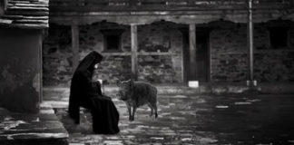 Το αγριογούρουνο και ο υπάκουος υποτακτικός Το αγριογούρουνο και ο υπάκουος υποτακτικός