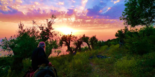 Έτσι γίνεται, όταν εμείς τα αφήνουμε όλα στο Θεό !