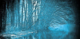 Εξαιρετικά αφιερωμένο στους εχθρούς μας : Γιατί θέλεις να με σκοτώσεις; Επειδή δεν αντέχω να σε βλέπω να λάμπεις…