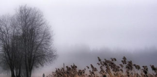 Ευεργετινός : Τις αμφιταλαντευόμενες ψυχές πρέπει με στοργή να τις παρηγορούμε