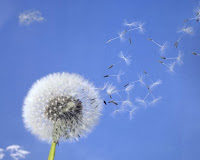 Άγιος Νικόλαος Βελιμίροβιτς : Να είμαστε ”κατάσκοποι”… των δικών μας αμαρτιών….