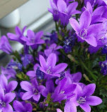 Το μήνυμα την ημέρας