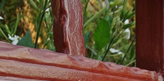 Βρες τον άνθρωπο που σε εμπνέει…..