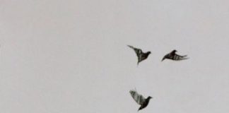 Αὐτό το πάθος τον τραβάει προς τα κάτω και δεν τον ἀφήνει ν’ ἀνυψωθεῖ προς τόν Θεό