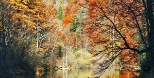 Κόμπλεξ, άγχος, μικροψυχία…ενώ με τον Χριστό, με την χάρη φεύγουν όλα