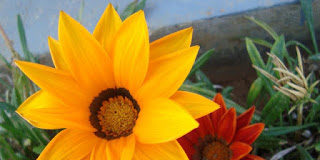 Να διατηρήσεις την ηρεμία της ψυχής σου