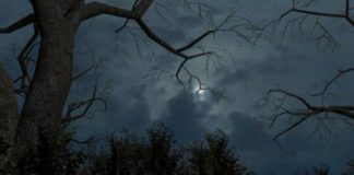 Στοιχειωμένα σπίτια & φαντάσματα