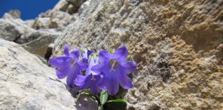 Ο κενόδοξος την ψυχή του την αποξενώνει απ’ την αιώνια ζωή…