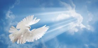 Δεκαπενταύγουστος στις Παναγίες της Ελλάδας