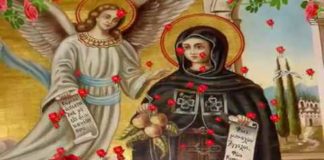 Αγία Ειρήνη Χρυσοβαλάντου : Τελευταία Διδασκαλία