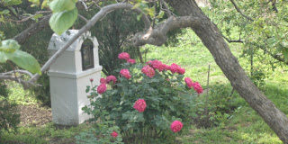 Όταν ερχόσασθε στον δρόμο τι συζητούσατε ;