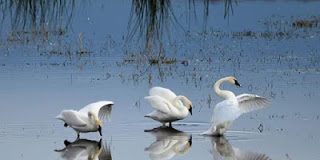 Ποιες ηδονές είναι αθώες και ποιες ένοχες;
