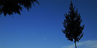 Για την καλλιέργεια της ψυχής μας….