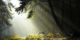 Στον υπερήφανο και φθονερό μη μιλάς καθόλου ή μίλα με πολλή προσοχή