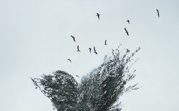 Οι χριστιανοί σήμερα