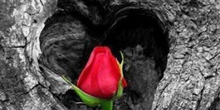 Άνθρωπος και Περιβάλλον κατά τον Μέγα Βασίλειο