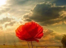 Ποιος είναι ο ευτυχισμένος ;