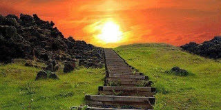 Πάσα φυτεία, ην ουκ εφύτευσεν ο Πατήρ μου ο ουράνιος, εκριζωθήσεται..