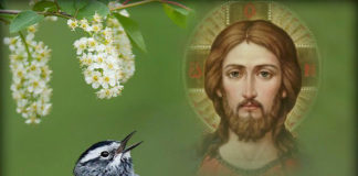 Μια σοφή συμβουλή ενός πνευματικού…..