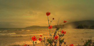 Αββάς Ισαάκ ο Σύρος – Πες τον άλλο κάθε καλό και τίμιο λόγο