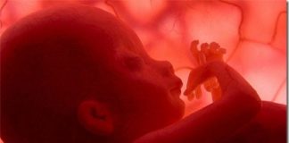 Καταψυγμένα έμβρυα. Μια άγνωστη γενοκτονία το 1996…