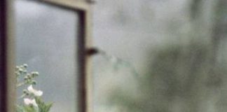 Συμβουλές χωρίς διάκριση ! Η ιστορία της αλεπουδίτσας…