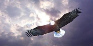 Δεν ὑποχρεούμεθα νά ἔχωμε σχέσι μέ ὅλους, με ὅσους δέν ταιριάζομε ἤ μέ ὅσους δέν ἀναπαυόμαστε