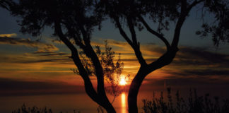 Μην δικαιολογείς την αδράνεια σου….